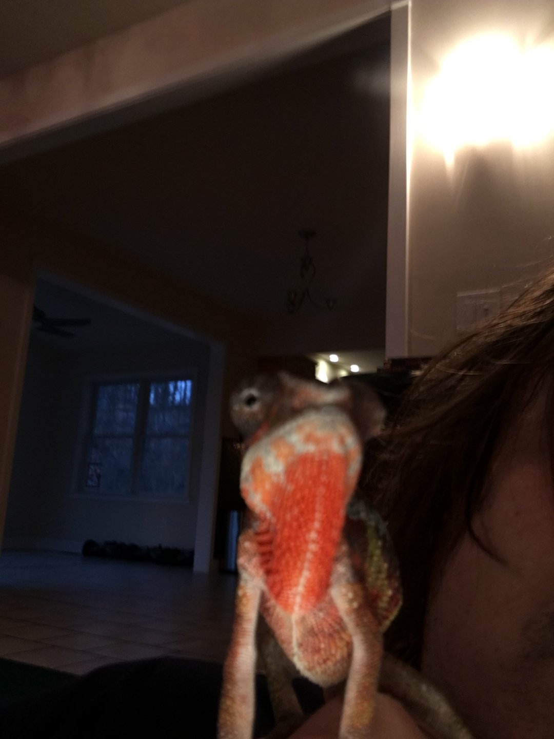 Check out my chin