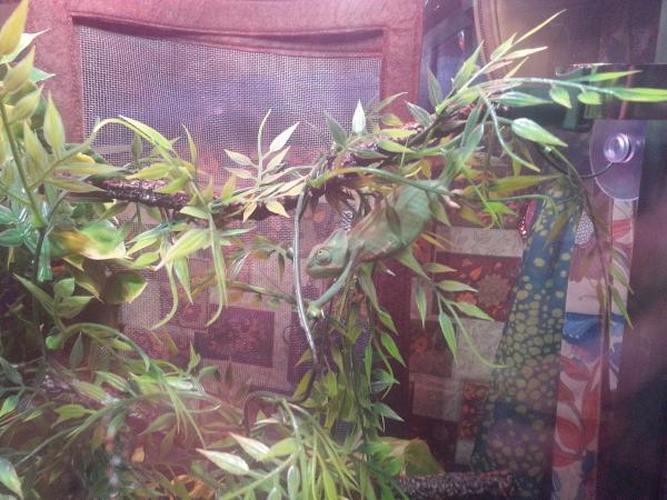 checking out her new digs