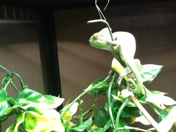 Chillin at the top :D