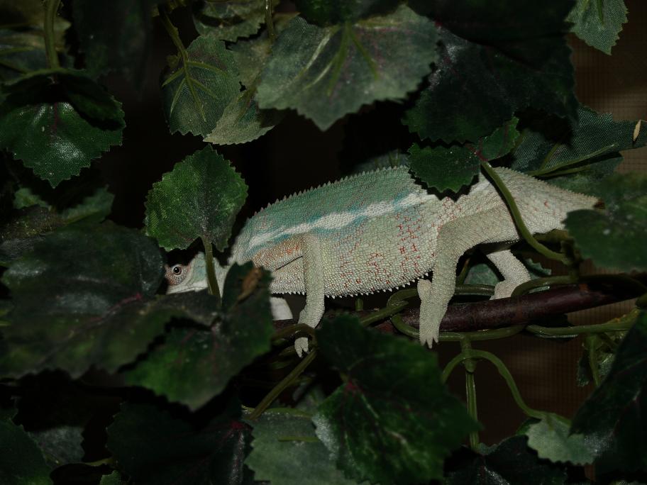 Chillin Like A Vilain!!!