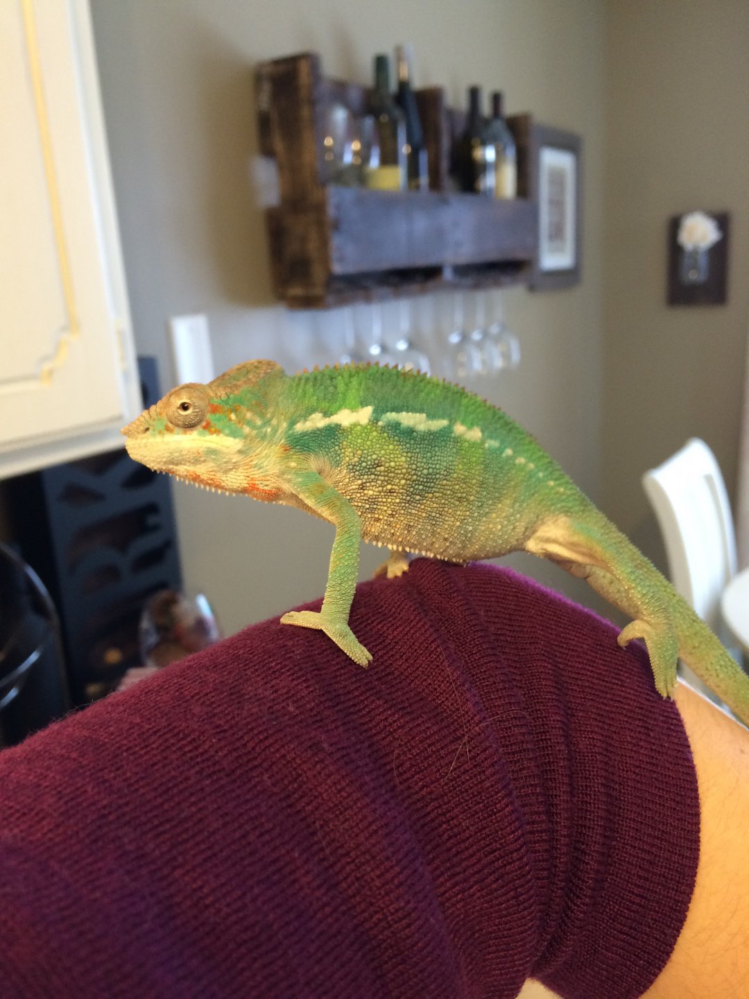 Chillin like a villain