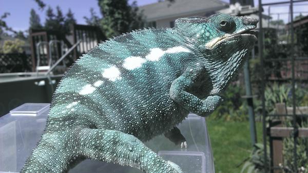 Chillin' outside.