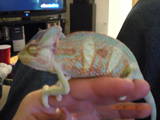 Chillin