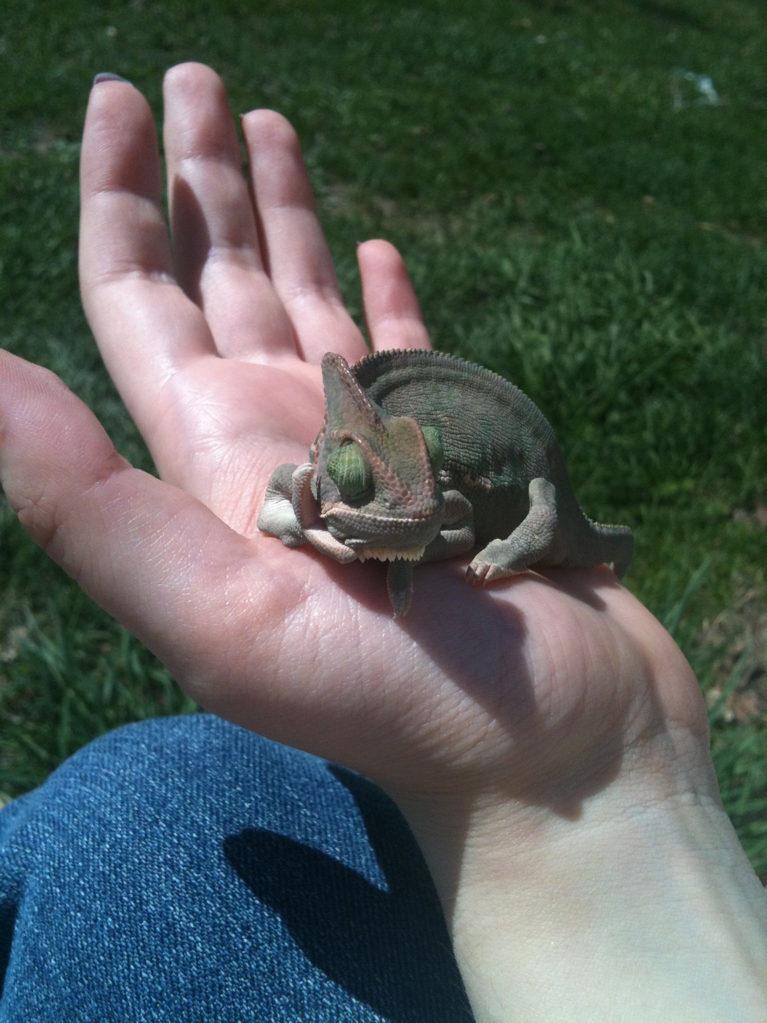 Chilling Outside