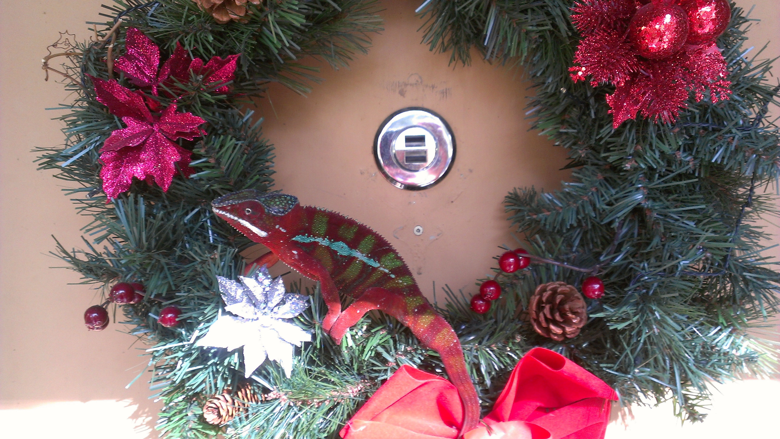 Christmas Cham