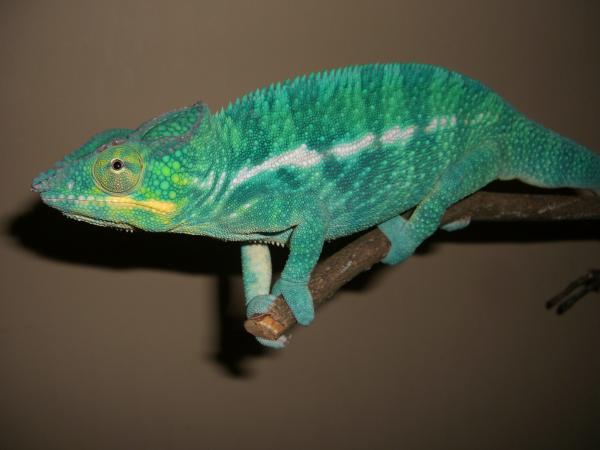 CIMG0904