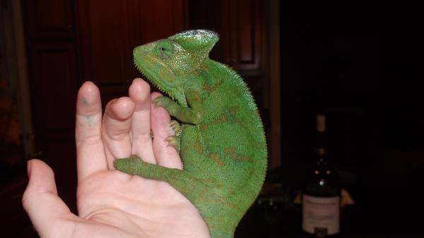 clair sitting on my hand