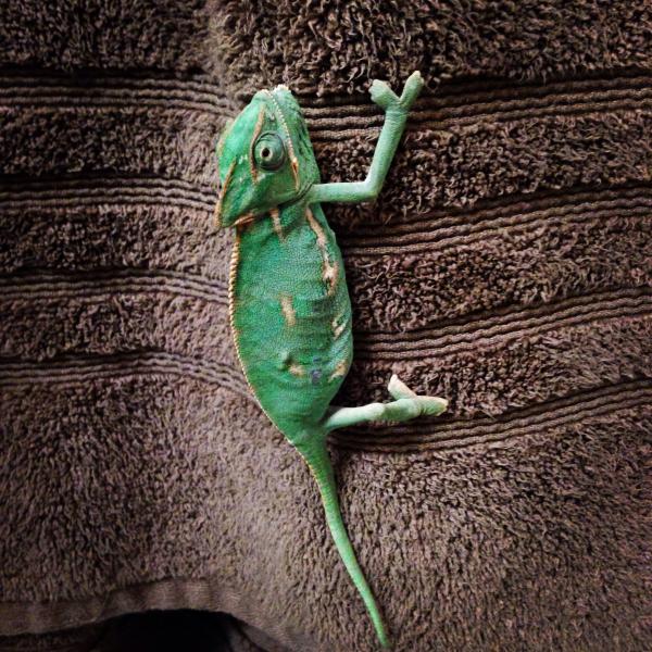 Climb and Climb and Climb....
