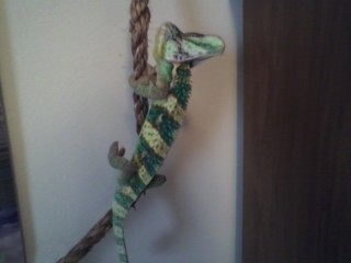 Climbing the rope