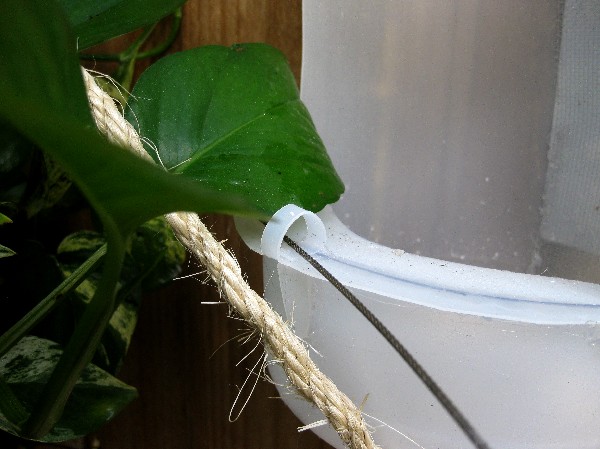 Close up of the loop with the cable run through.