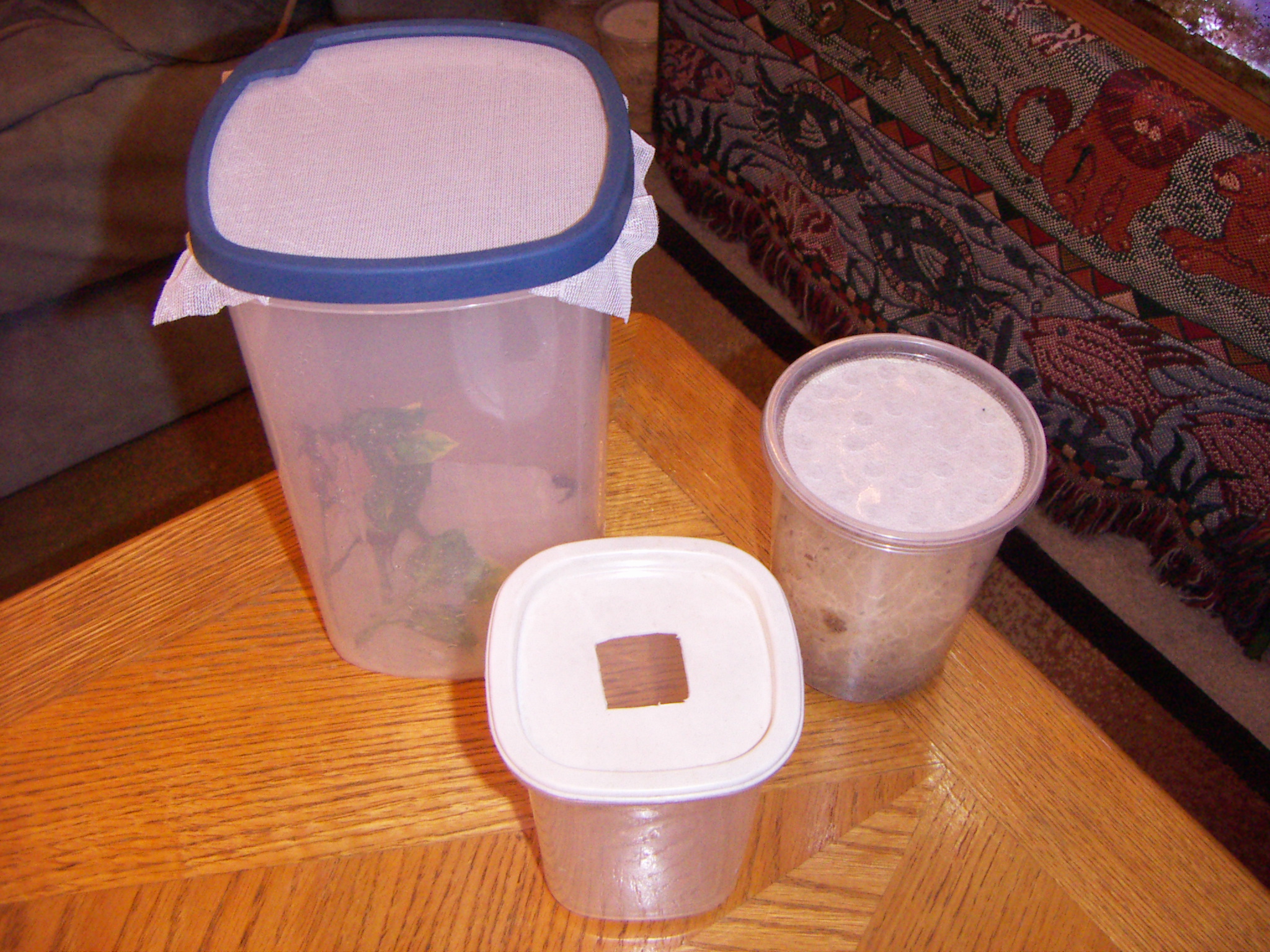 Containers