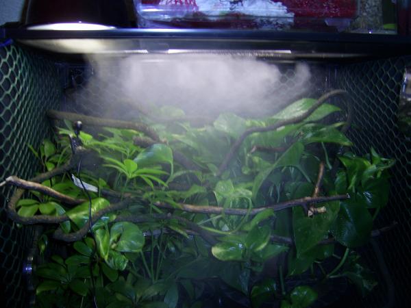 cool air humidifier and mister running