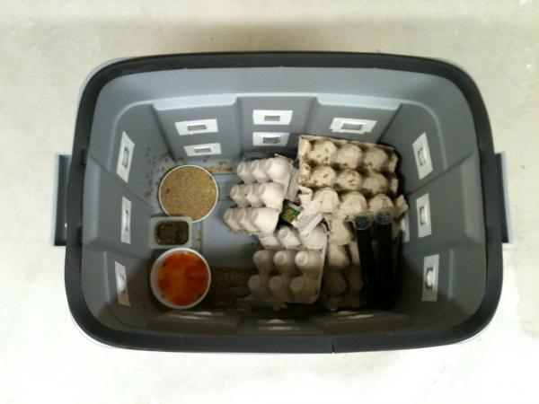Cricket keeper (inside view) - Here is the inside of the larger keeper. You will notice that they have egg crates in there to hide. I buy a 1000 at a