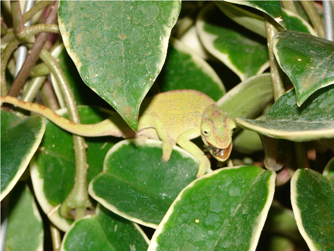 Crunch, Crunch, Crunch.....