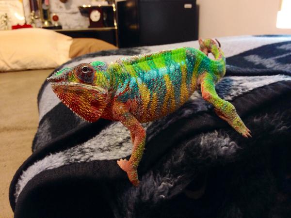 Curious and Colorful :)