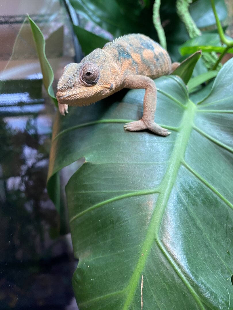 Curious girl