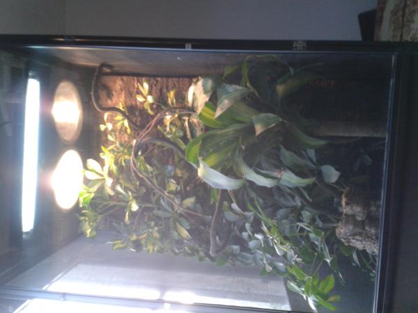 Dante's enclosure