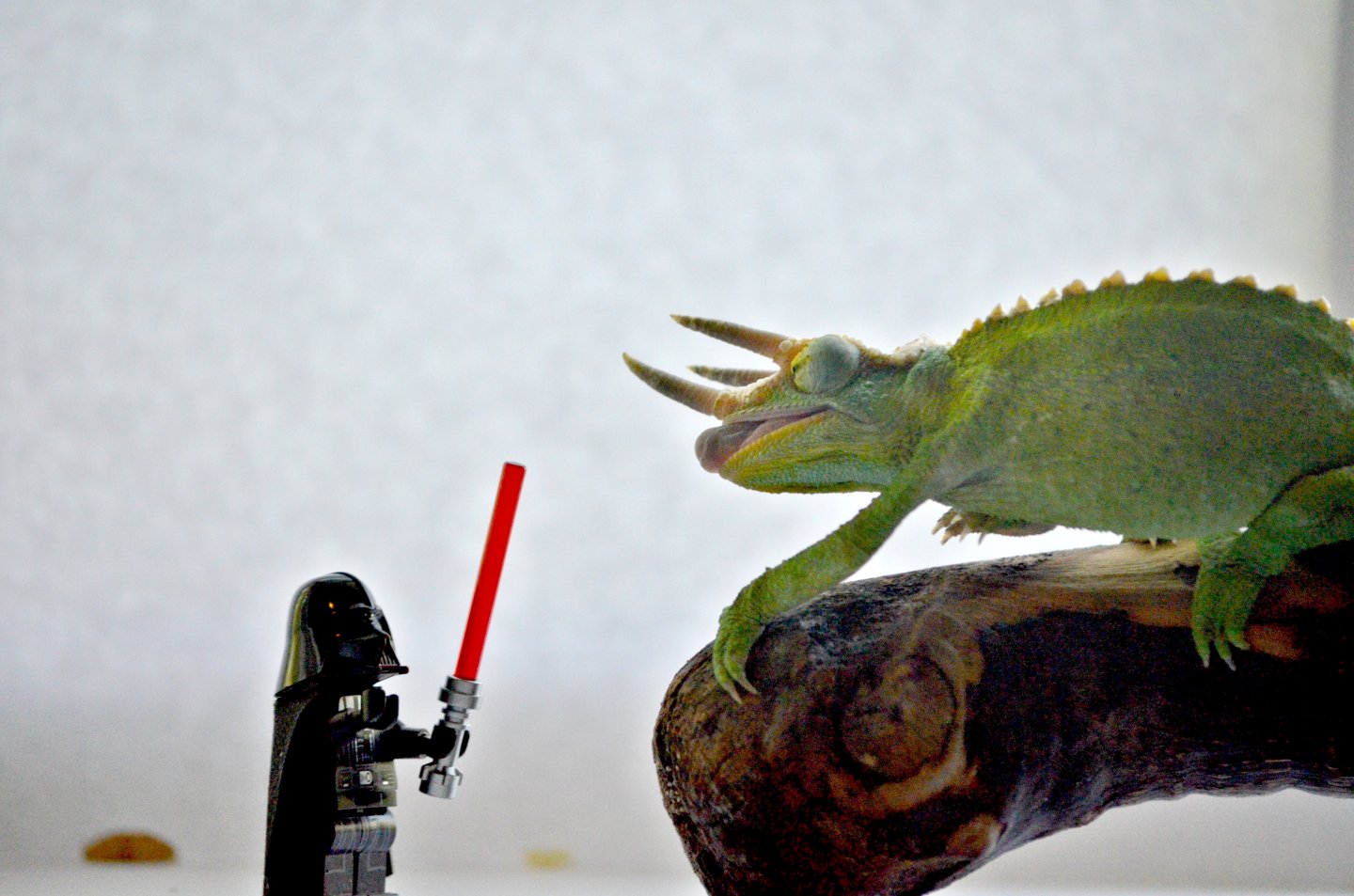 darth vader vs chameleon