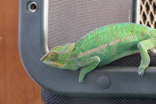 Dave on the chair.