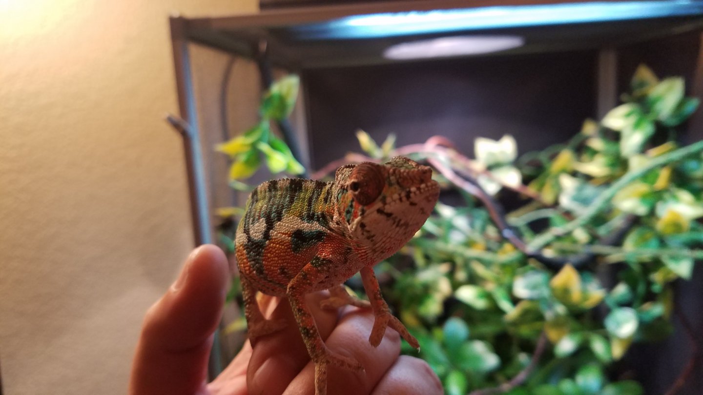 Day 1: Introductions