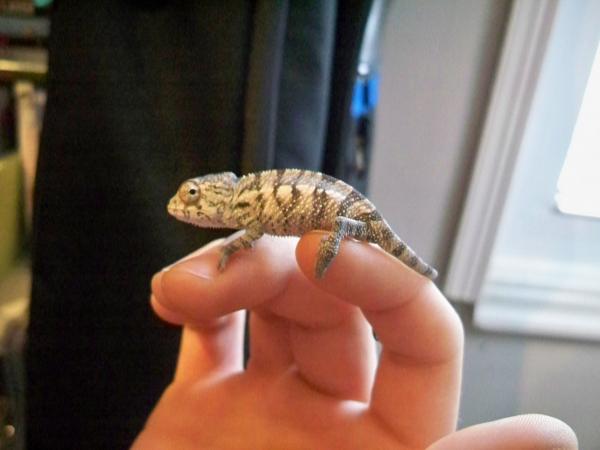 day before 1st shed. December 20