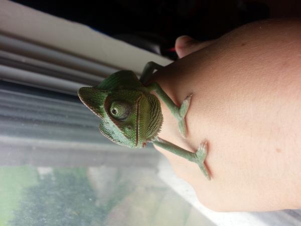 Day one recovery July 31st.