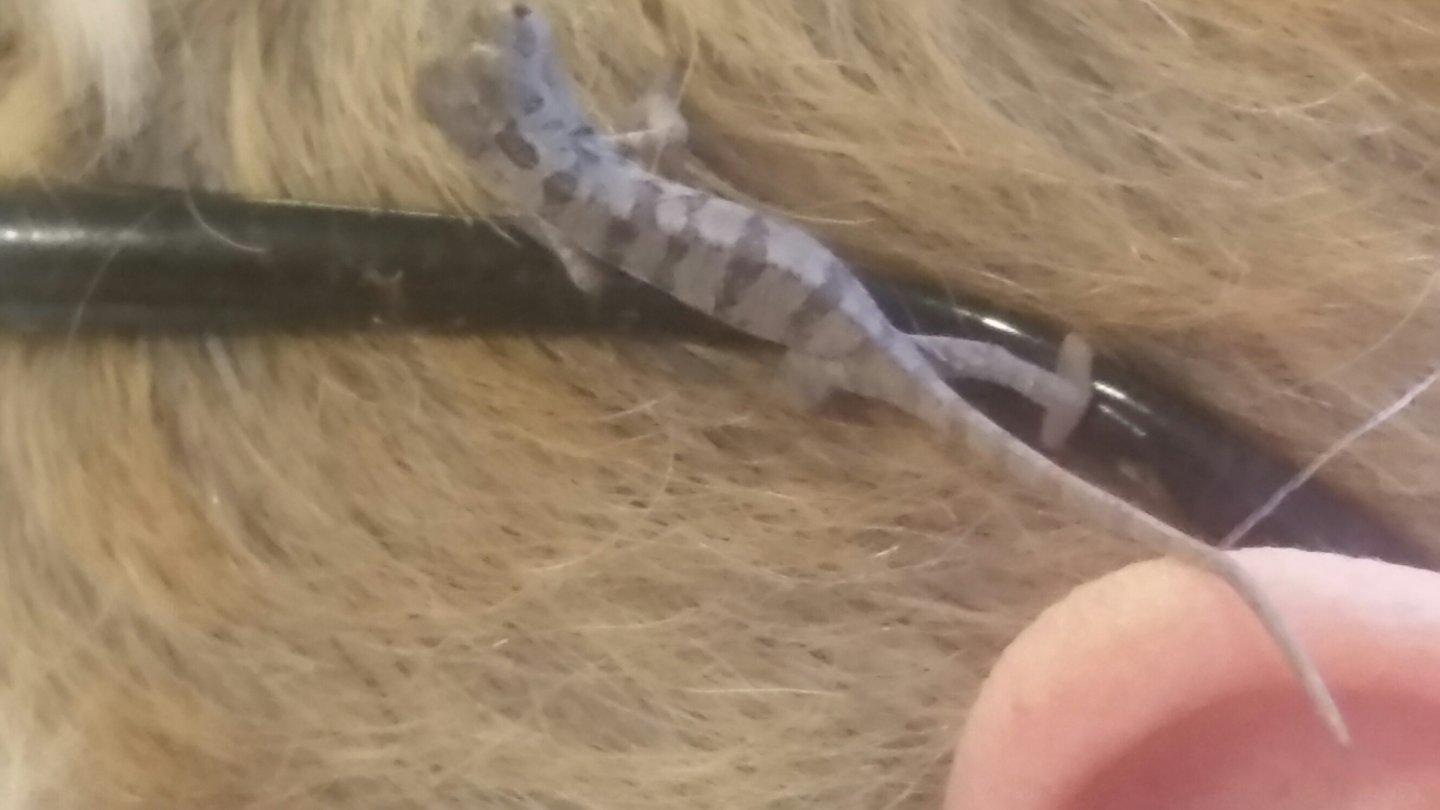 Day6