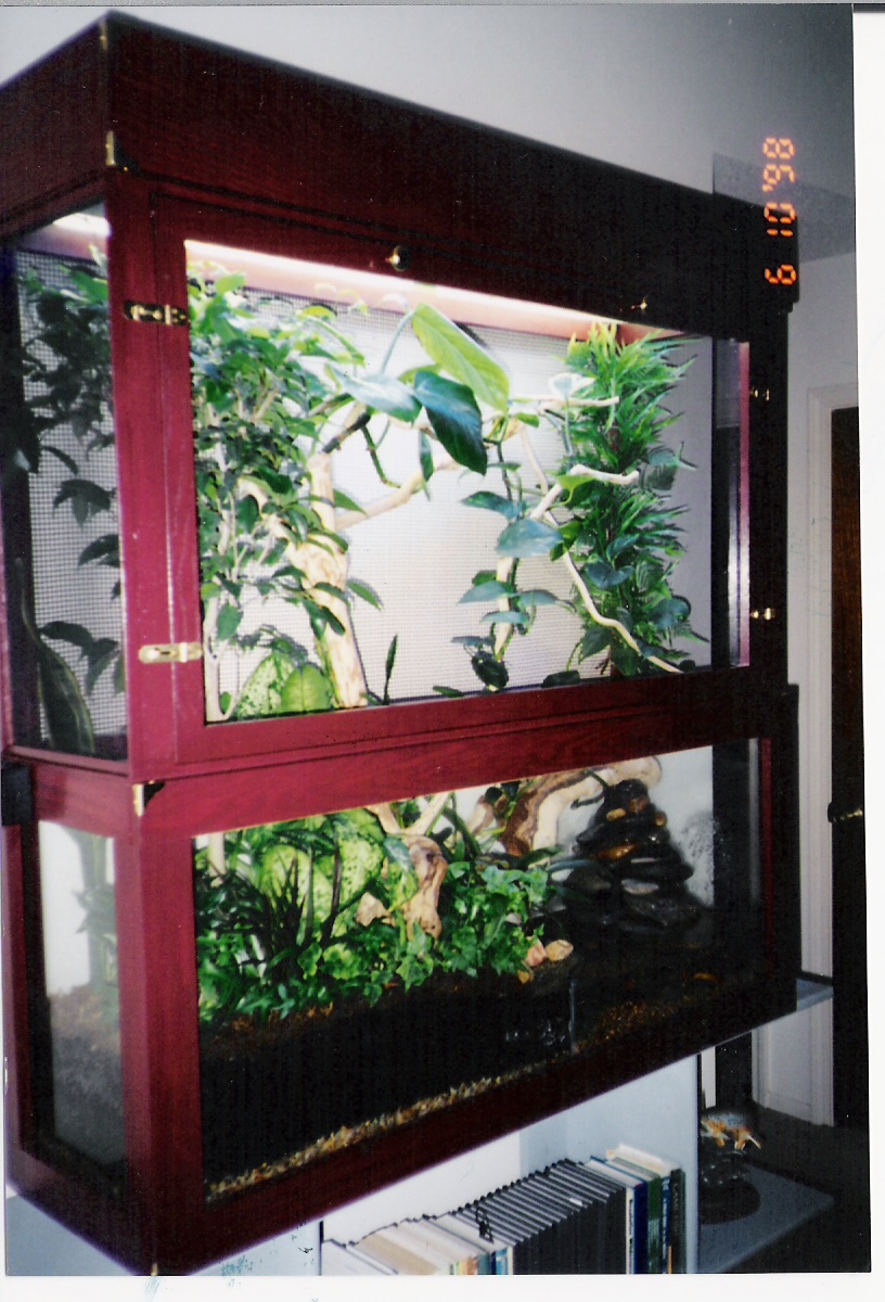 Display Enclosure 1998