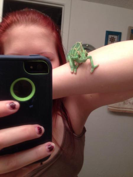 Displaying patterns (spots)