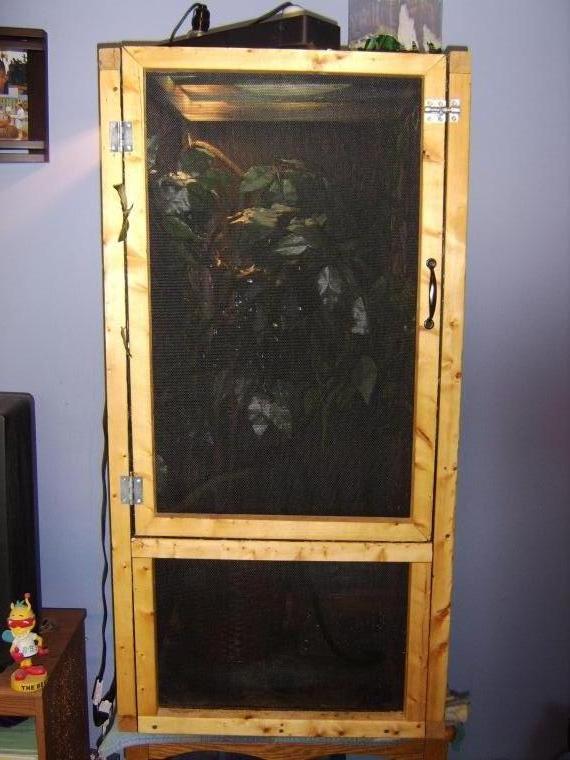 Dizzle's homemade cage