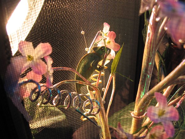 Do I look good in pink?