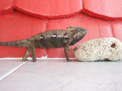 Do I look pretty with that red background?