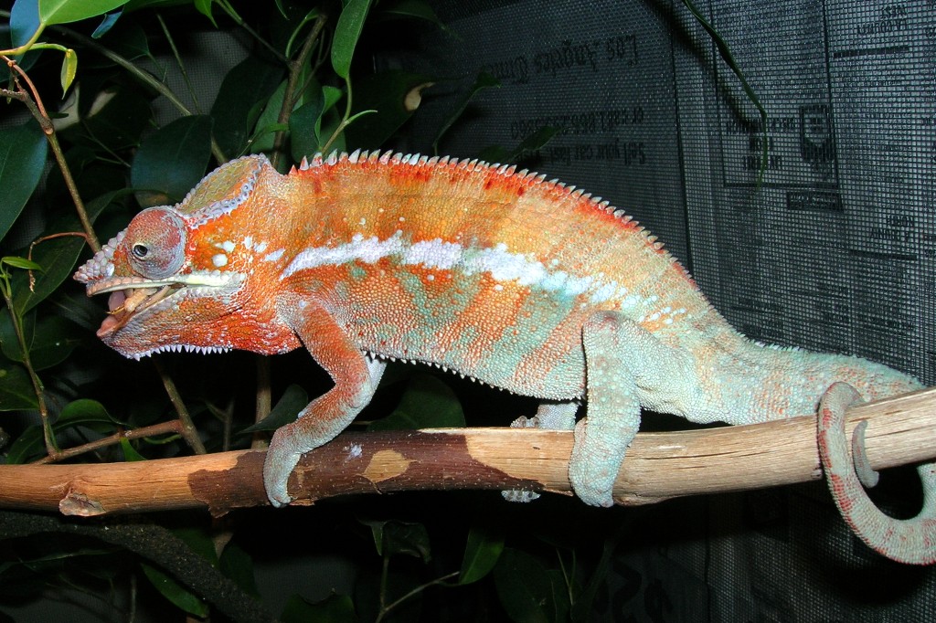 Don't bother me, I'm eating!