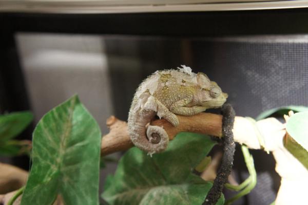 dont bother me im sleeping!