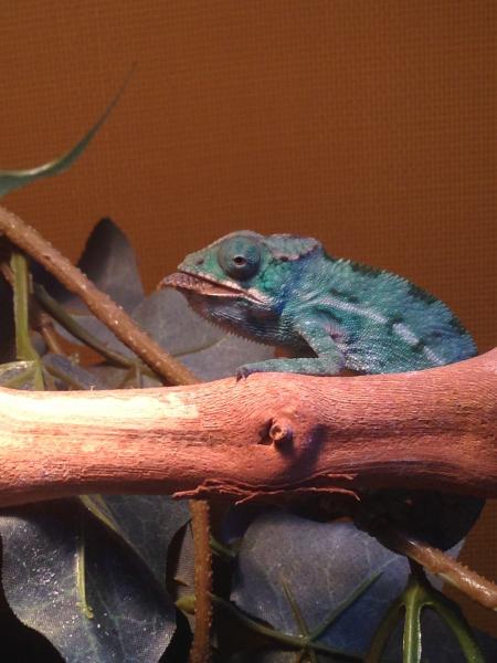 Don't like the paparazzi taking pics of him eating