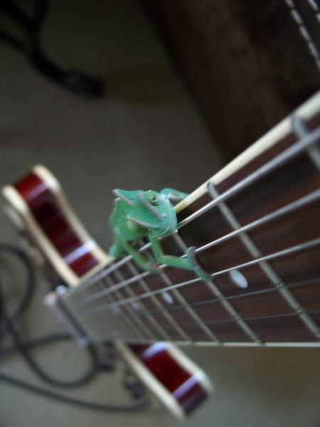 Don't look down...