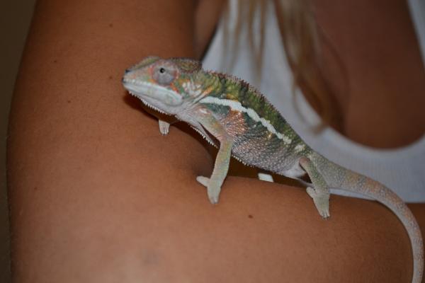DSC 0072