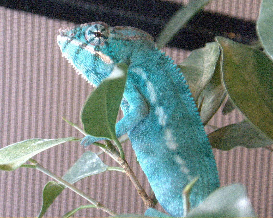 Dsc00031