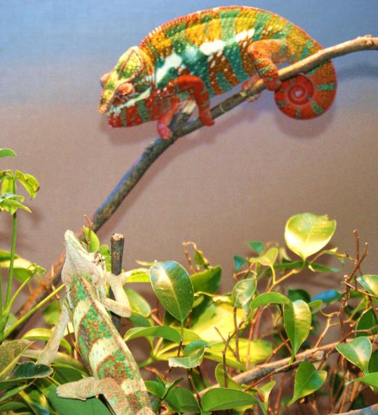 DSC00170