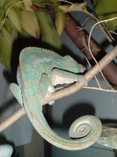 DSC00311