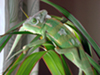DSC00794[1]