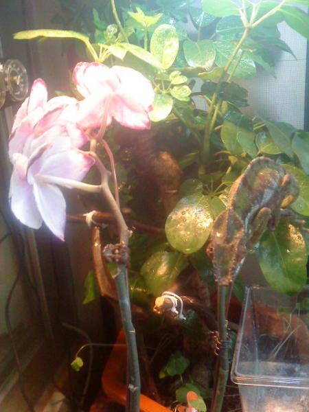 DSC01550