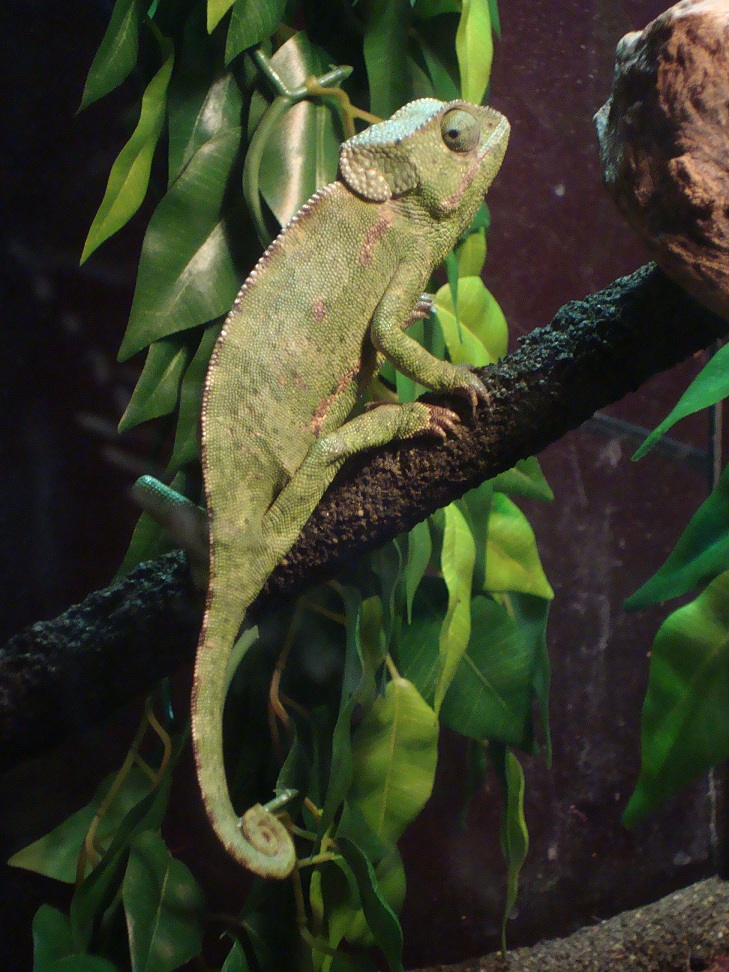 Dsc01770 723842