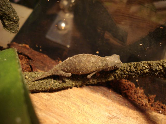 DSC02562