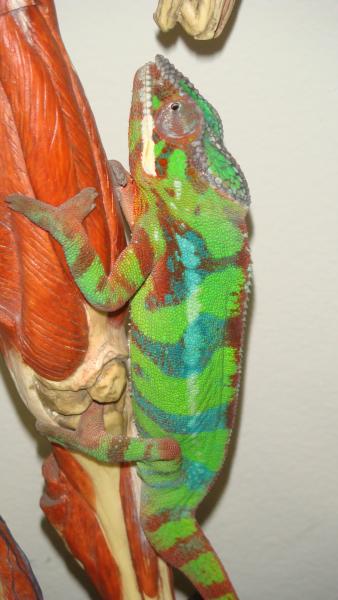 DSC05507