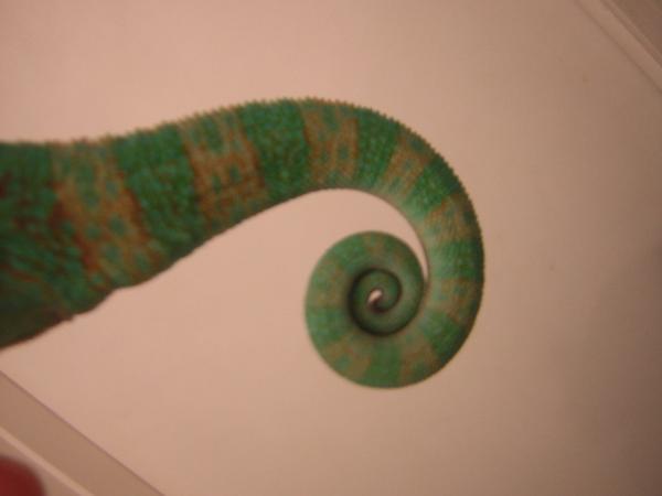 DSCN3731