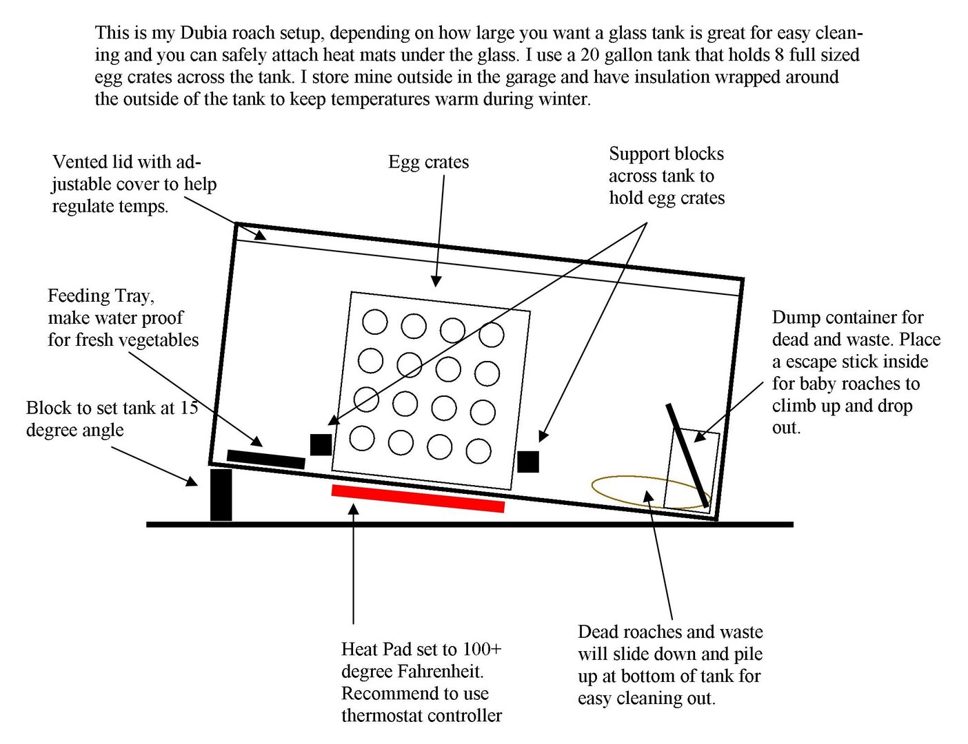 Dubia Roach Tank.jpg