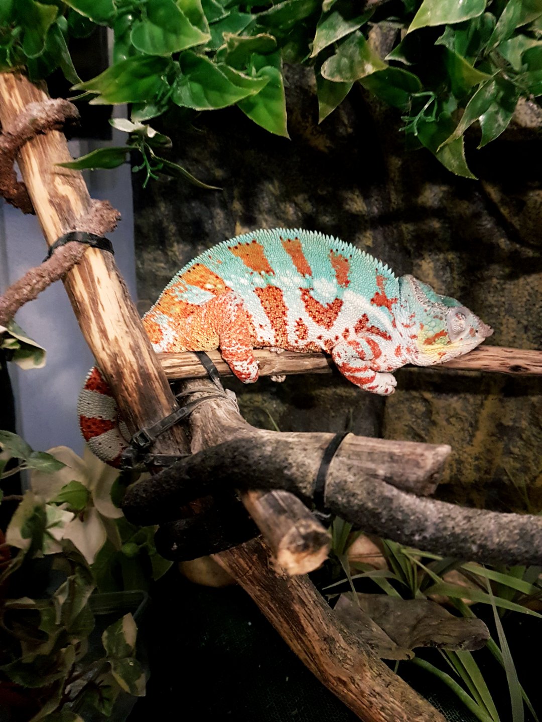 Dude has his pj's on.