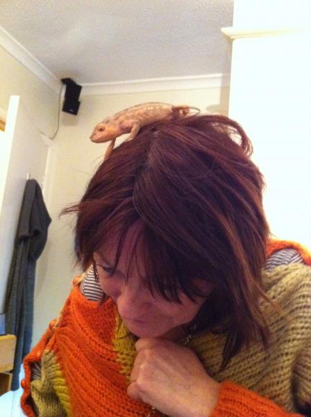 Dusty on mum's head!