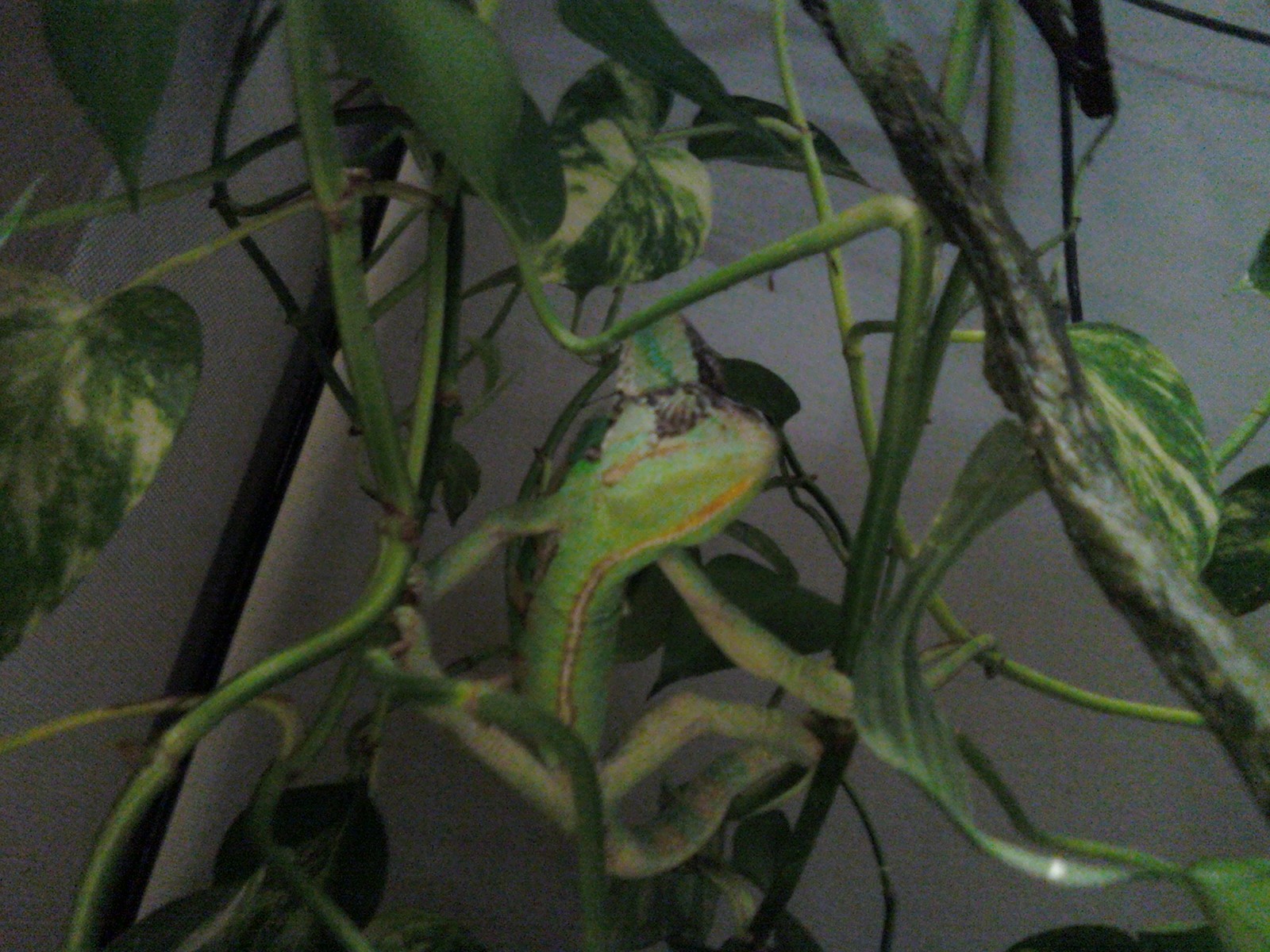 E2150ec0936ab13f71edf631c704a3df